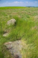 Click for full size image of Park Gate (PID:110330) Park Gate
