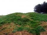 Click for full size image of Calton Pasture II (PID:20963) Calton Pasture II