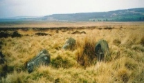 Gibbet Moor North