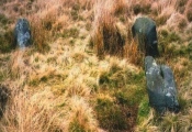 Gibbet Moor North