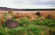 Click for full size image of Park Gate (PID:126138) Park Gate