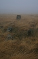 Click for full size image of Gibbet Moor North (PID:175545) Gibbet Moor North