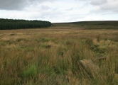 Click for full size image of Park Gate (PID:101222) Park Gate