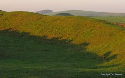 Arbor Low 1 - PID:83514