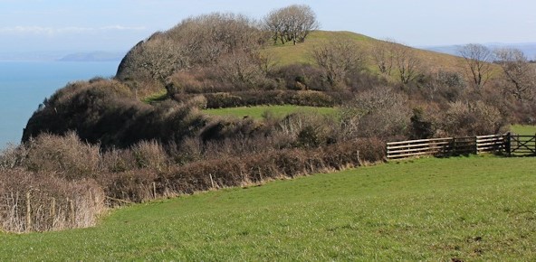 Windbury Head Fort (PID:273583) Windbury Head Fort