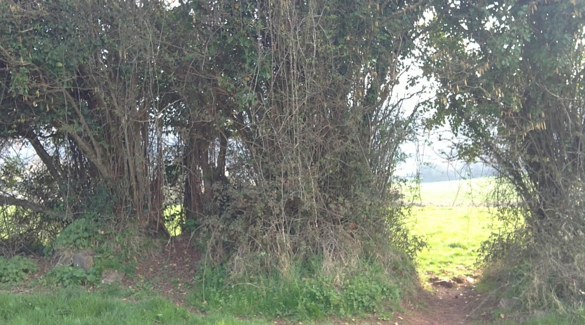 Broadsands Chambered Tomb