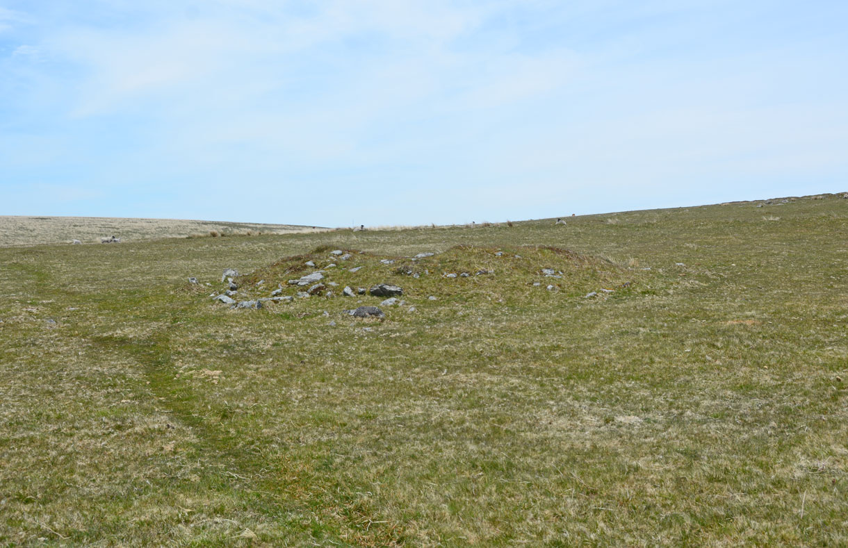 Drizzlecombe cairn 4