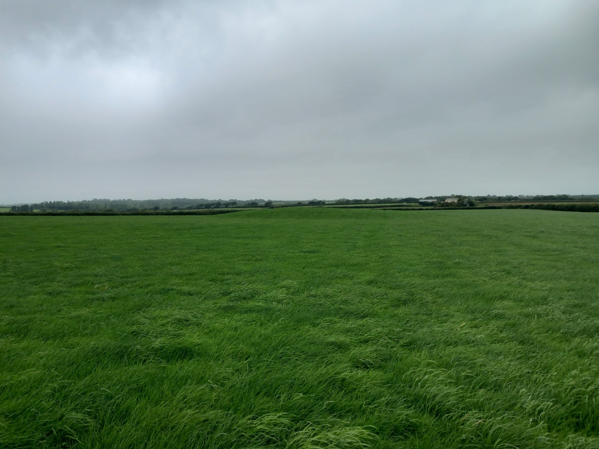 Ugworthy Beacon Barrows