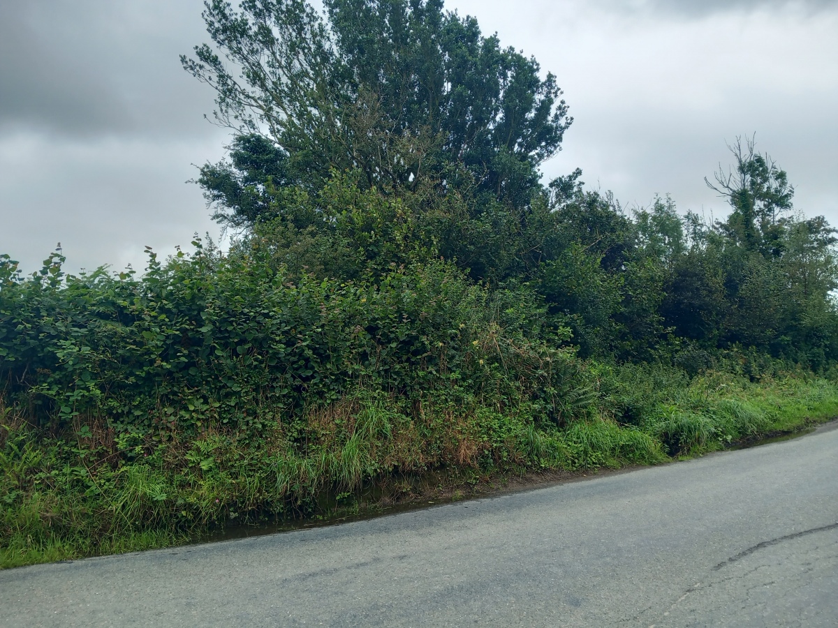 Click for full size image of Ugworthy Beacon Barrows (PID:261866) Ugworthy Beacon Barrows