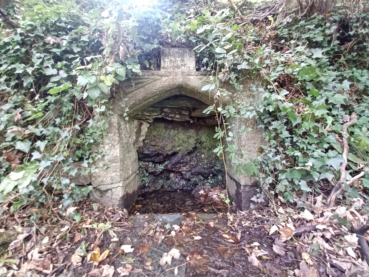 St John's Well (Tavistock)
