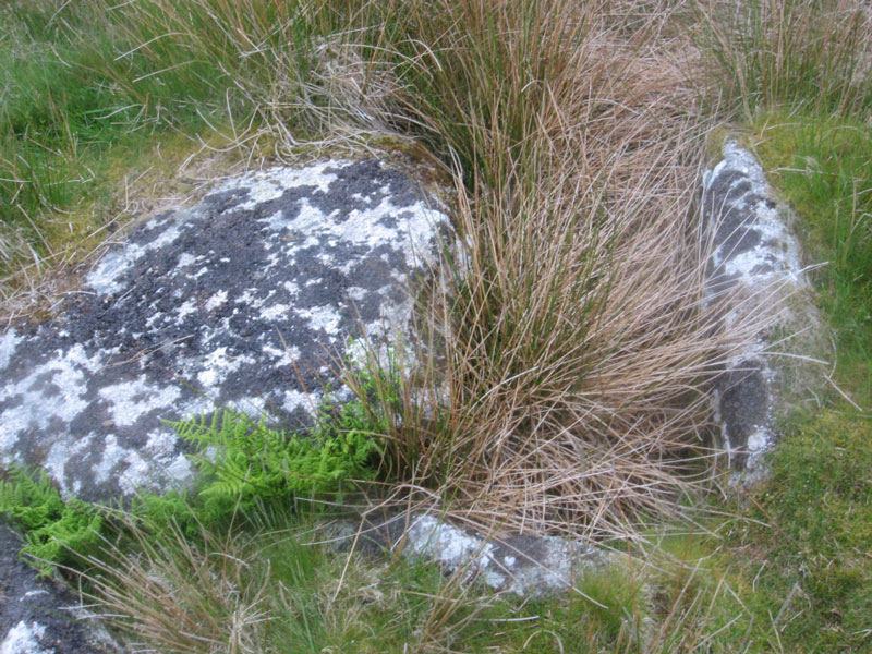 Roundhill Summit