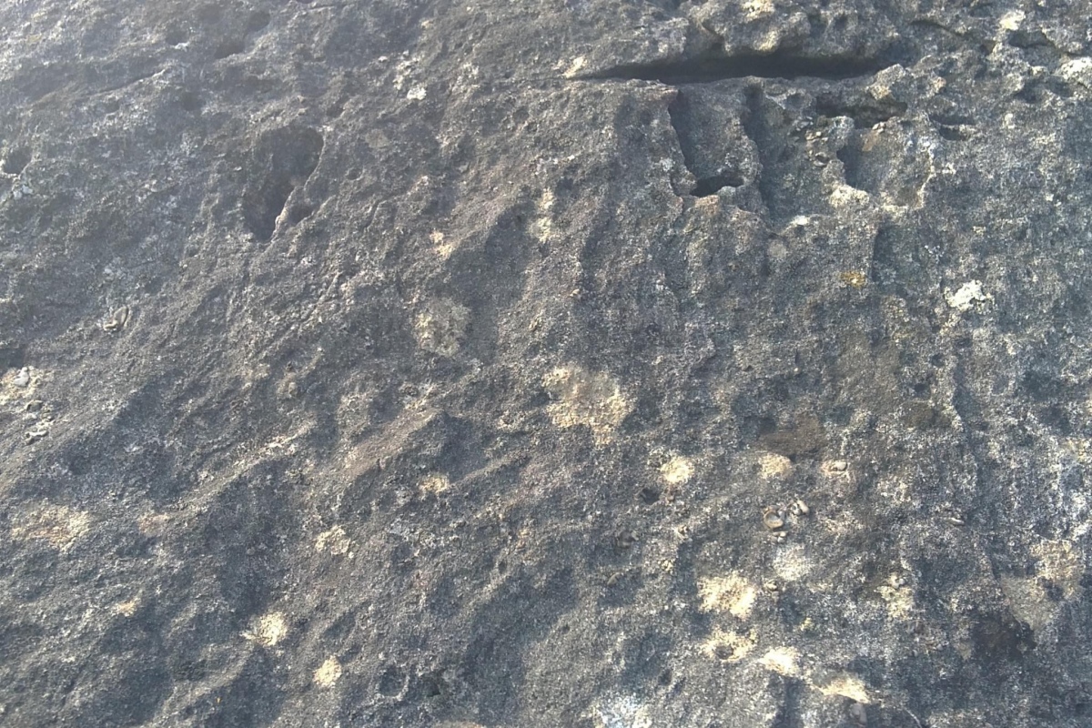 Click for full size image of Broadsands Chambered Tomb (PID:248613) Broadsands Chambered Tomb