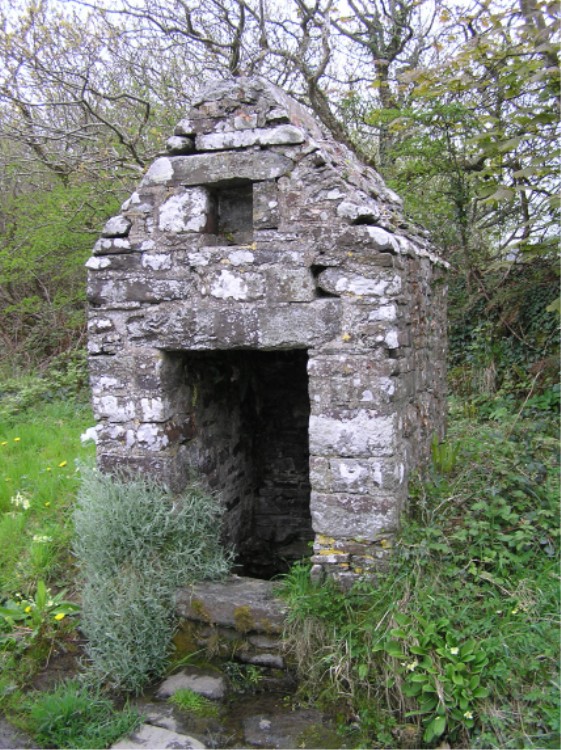 St Nectan's Well (Welcombe)