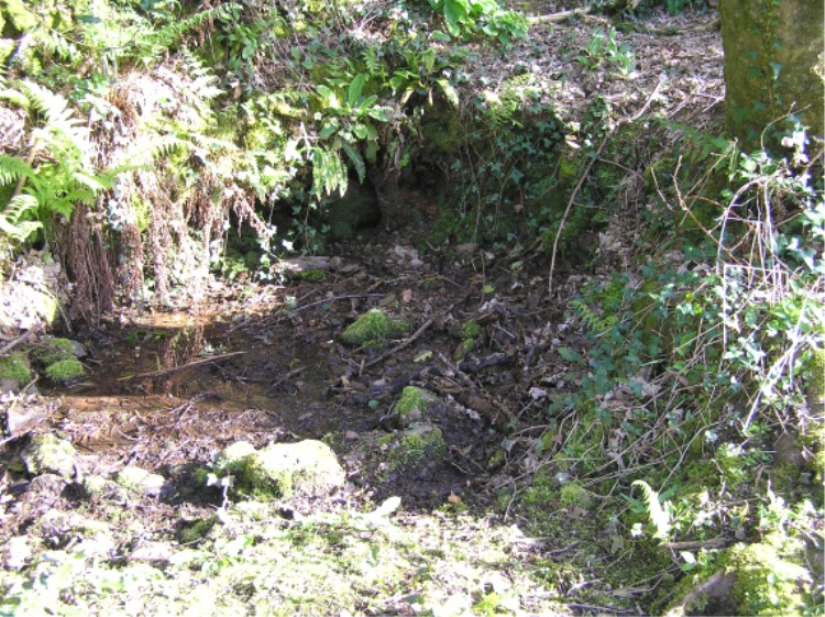 Coverney Well