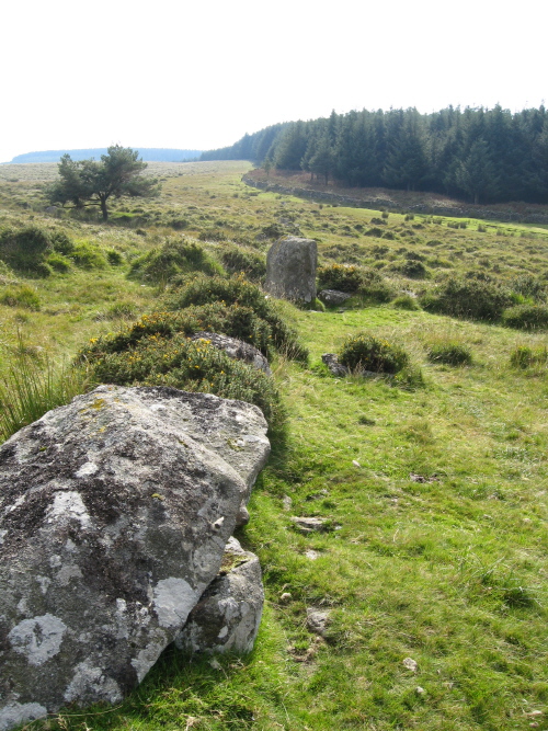 The Heath Stone