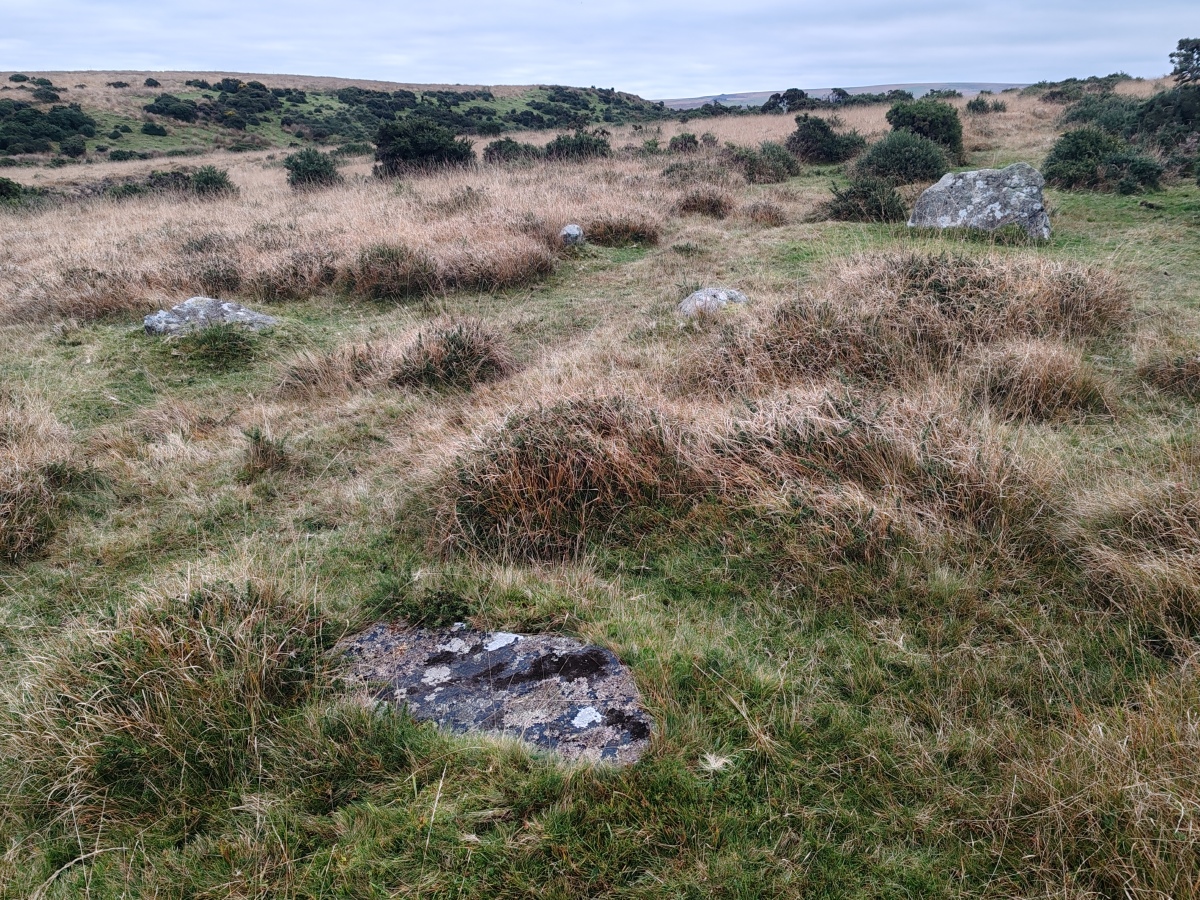 Click for full size image of Shaugh Moor North Cairn Circle (PID:281478) Shaugh Moor North Cairn Circle