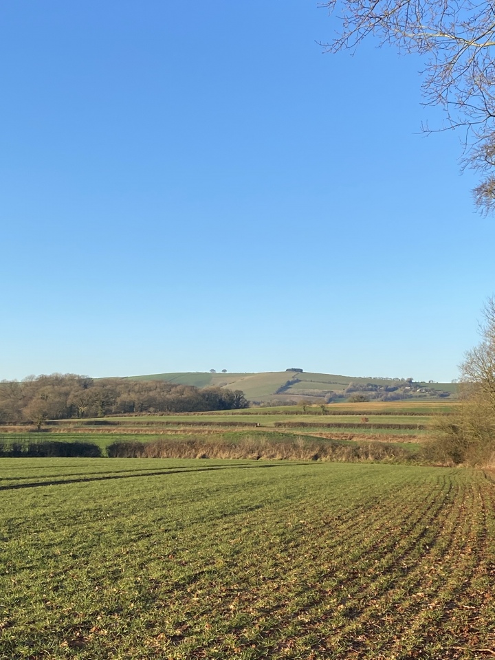 No Mans Chapel tumulus