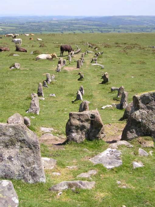 Cosdon Hill Multiple Stone Rows