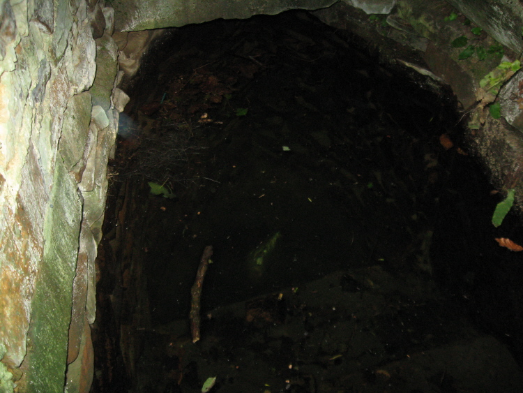 St. Rumon's well