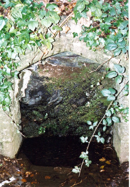 St John's Well (Tavistock)