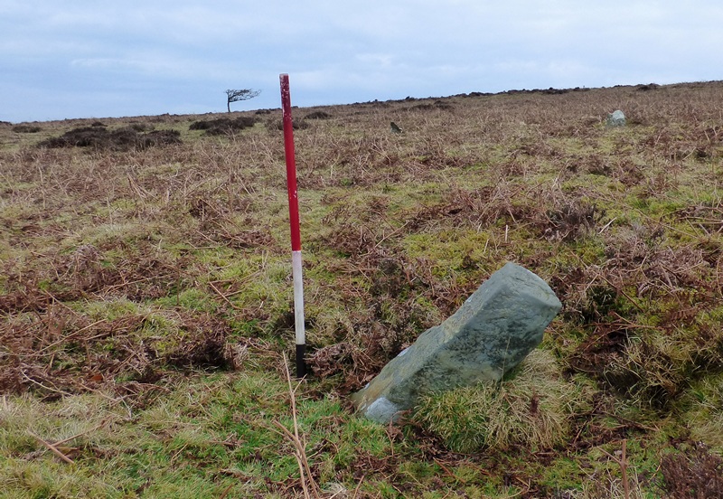 Standing stone situated within a 0.3m deep hollow. The stone measures 0.62m long by 0.10m wide and 0.42m high.