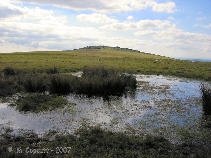 Click for full size image of White Tor (Peter Tavy) (PID:33884) White Tor (Peter Tavy)