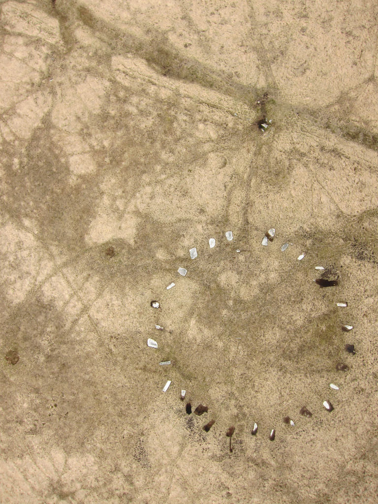 Sittaford Stone Circle