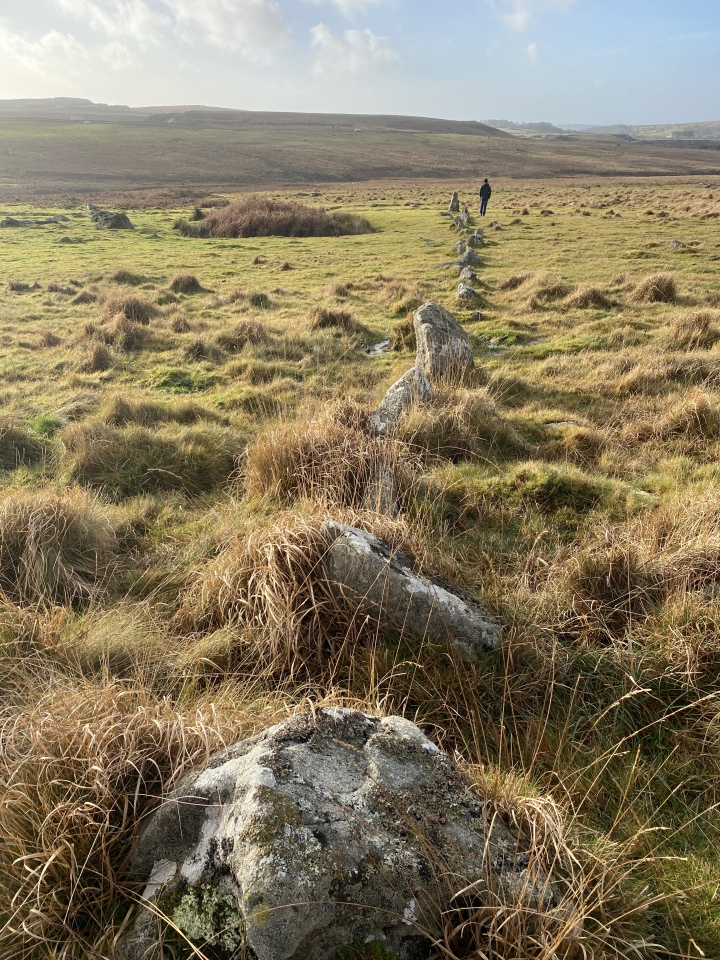 Click for full size image of Trowlesworthy West row (PID:267268) Trowlesworthy West row