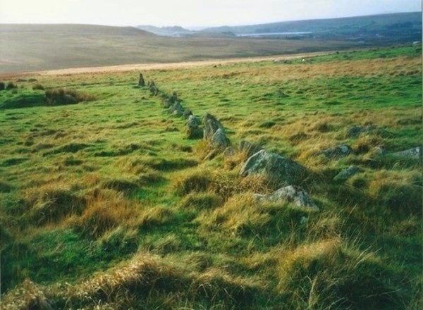 Click for full size image of Trowlesworthy West row (PID:129446) Trowlesworthy West row