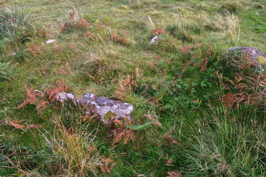 Burford Down (Tristis Rock)