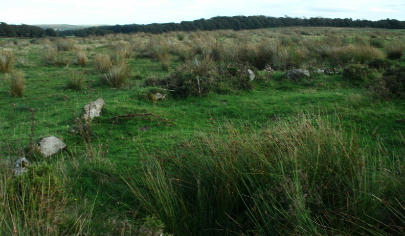 Click for full size image of Cator Common Cairn Circle (PID:113818) Cator Common Cairn Circle