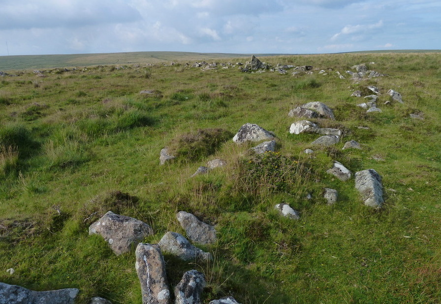 Click for full size image of Narrator Brookhead Enclosure (PID:207193) Narrator Brookhead Enclosure