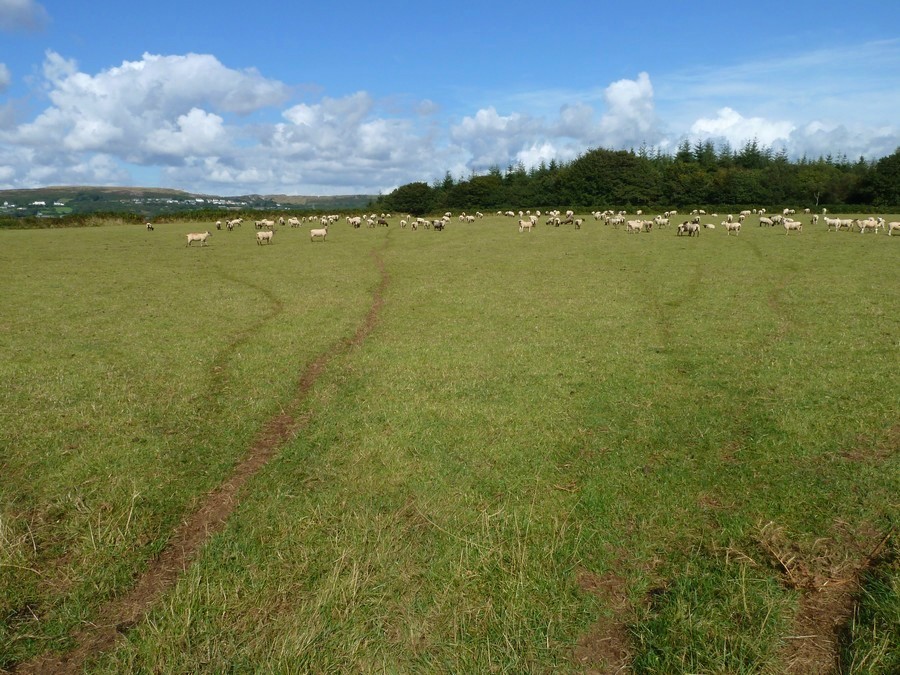 Click for full size image of Boringdon Camp (PID:174874) Boringdon Camp