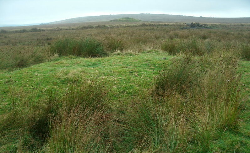 Click for full size image of Longstone Barrow (PID:124628) Longstone Barrow