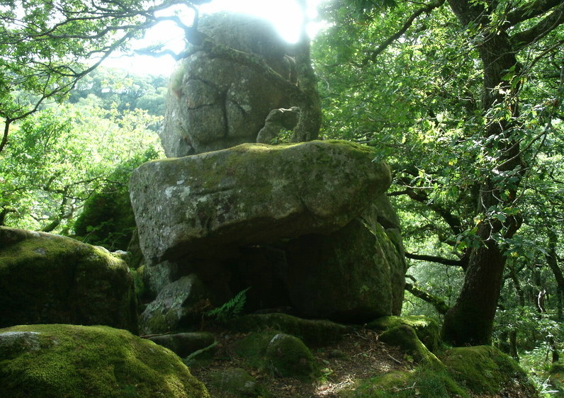 Dewerstone (PID:113368) Dewerstone