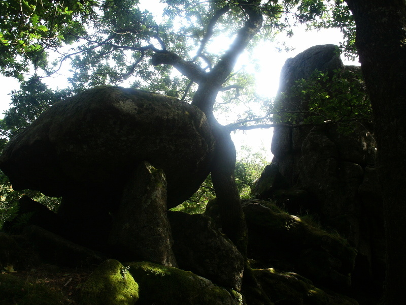 Click for full size image of Dewerstone (PID:113369) Dewerstone