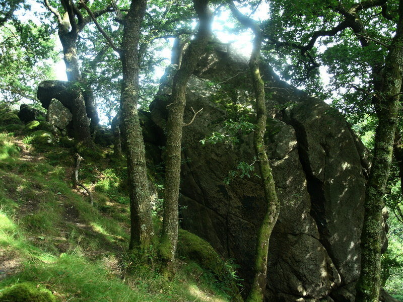 Click for full size image of Dewerstone (PID:113370) Dewerstone