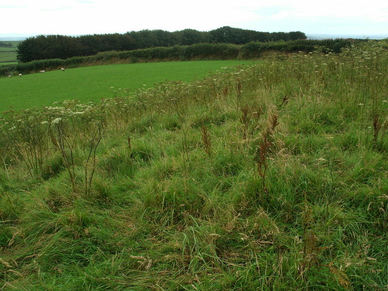 Stoke Rivers fort