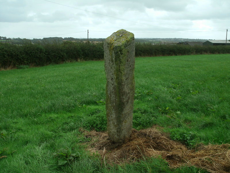 Long Stone (East Worlington)