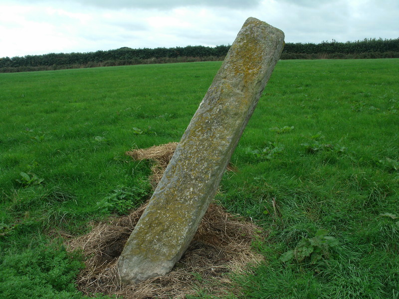 Long Stone (East Worlington)