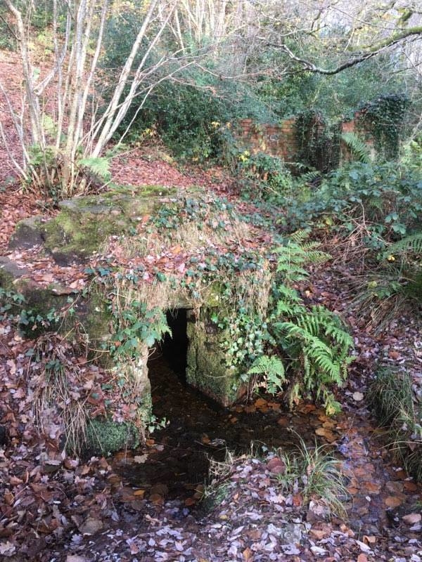 Whitewell Woods Well