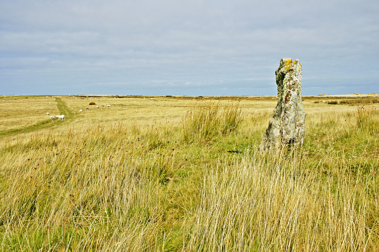 Ackland's Moor