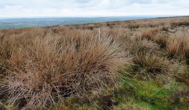 Longstone Barrow Row