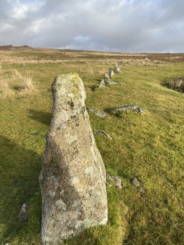 Click for full size image of Trowlesworthy West row (PID:267267) Trowlesworthy West row