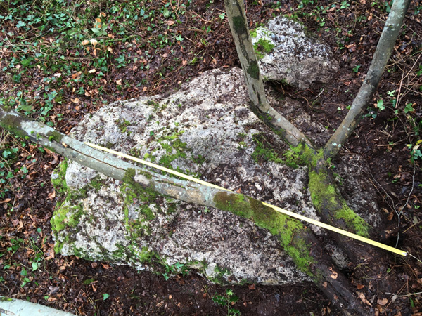 Salcombe Hill Standing Stone