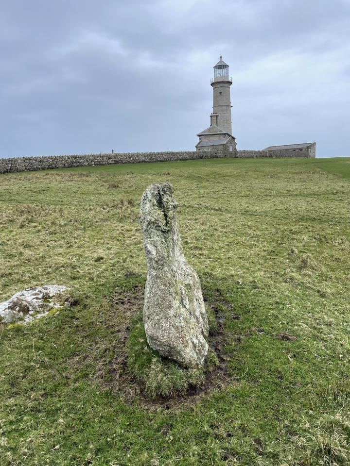Click for full size image of Ackland's Moor (PID:269508) Ackland's Moor