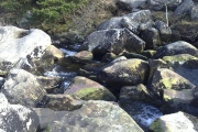 Click for full size image of The Tolmen Stone (Dartmoor) (PID:248699) The Tolmen Stone (Dartmoor)
