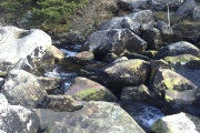 The Tolmen Stone (Dartmoor)