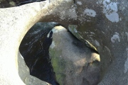 Click for full size image of The Tolmen Stone (Dartmoor) (PID:248702) The Tolmen Stone (Dartmoor)