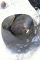 Click for full size image of The Tolmen Stone (Dartmoor) (PID:248703) The Tolmen Stone (Dartmoor)